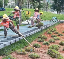 綠植租擺室內(nèi)綠化租擺